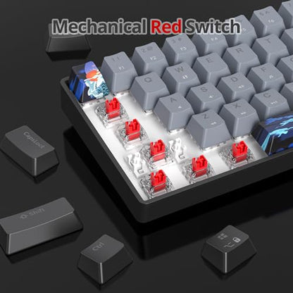 60% Mechanical Keyboard Black and Grey, Compact Gaming RGB Backlit, 61 Keys Mini, USB Wired for Windows Mac Laptop PC (61 Dolch/Red Switches) - color: 61 Dolch/Red Switch
