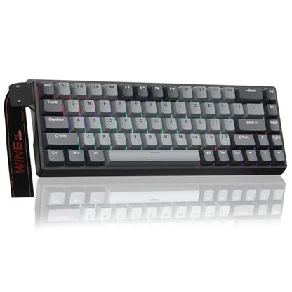 AULA WIN68 HE PRO - Hall Effect Gaming Keyboard with Magnetic Switch, Fast Trigger Mode Adjustable Actuation, 8KHz Polling Rate, Wired RGB Backlit Mechanical Gaming Keyboard 60 Percent Compact Design - color: Grey-pro version