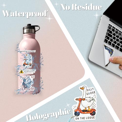 200 PCS Funny Holographic Stickers for Adults, Waterproof Vinyl Sarcastic Meme Decals for Laptop, Water Bottle, Phone, Kindle, Journal, Scrapbook, Bumper, Skateboard, Luggage, No Repeats