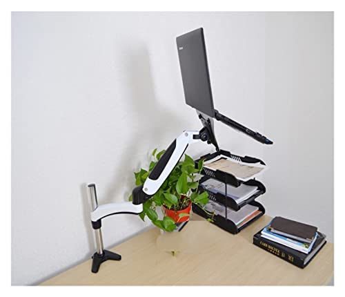 GST112-LP10 Hole Clamp Full Motion Aluminum Strong Gas Spring Dual Arm Laptop Desktop Mount Swivel Stand Notebook Tray(DL-GST112G-LP10) - color: DL-GST112G-LP10