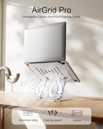 Laptop Stand for Desk Adjustable Computer Stand Foldable Laptop Riser Notebook Holder Adjustable Height for MacBook PC Computer Notebook Office Desk Accessories 10-17 Inch - color: Silver