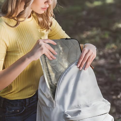 Sky Wetland Landscape Gray 13-14 Inch Laptop Sleeve Bag for Men Women Durable Protective Computer Carrying Cover with Waterproof Fabric Polyester Vertical Case for Most Tablet Portable Monitors