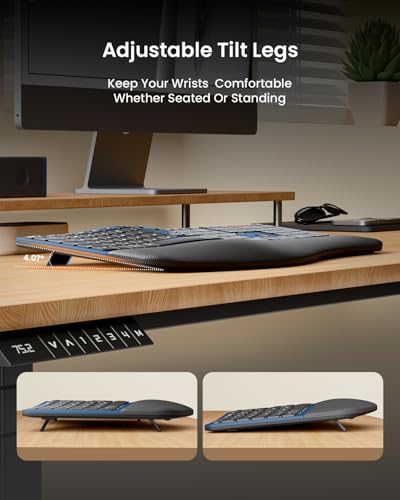 ProtoArc EKM01 Plus Wireless Ergonomic Keyboard Mouse Combo - Blue | Full-size Split Keyboard with Cushioned Wrist Rest, Ergonomic Mouse, 3-Device Bluetooth/2.4G, USB-C Rechargeable - color: Blue