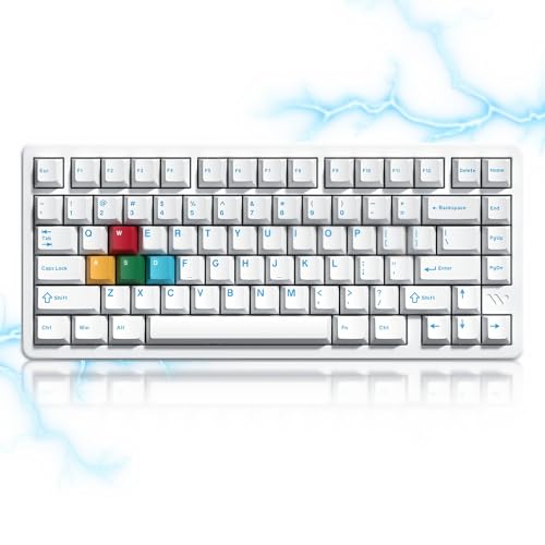 Womier SK75 TMR Keyboard Gaming 75% Hall Effec,Wireless Mechanical Keyboard | Rapid Trigger Custom Magnetic Switches Keyboards with 8000 Hz Hot Swap, BT/2.4G/USB-C for Mac Windows Linux,White-Aluminum - color: White