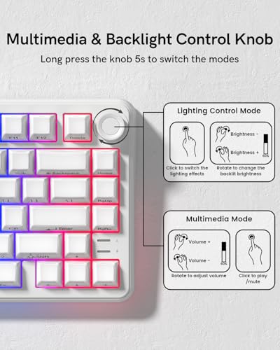 L75 Wireless Mechanical Keyboard with Knob, 75% Hot Swappable Custom Gaming Keyboard Gasket Structure with RGB Backlit, Pre-lubed Switches, Crystal Jelly PBT Keycaps, 2.4GHz/USB-C/BT5.0 Mode - color: Crystal-White
