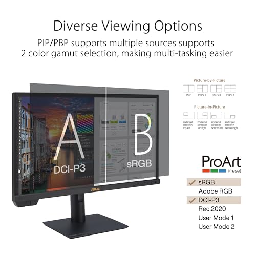 ASUS ProArt Display 24” 4K 12G-SDI HLG Professional Monitor (PA24US) - IPS, UHD (3840 x 2160), 99% Adobe RGB, 95% DCI-P3, ΔE < 1, USB-C, Built-in Motorized Colorimeter, Calman Ready, 3 Year Warranty - style: 24" 4K SDI