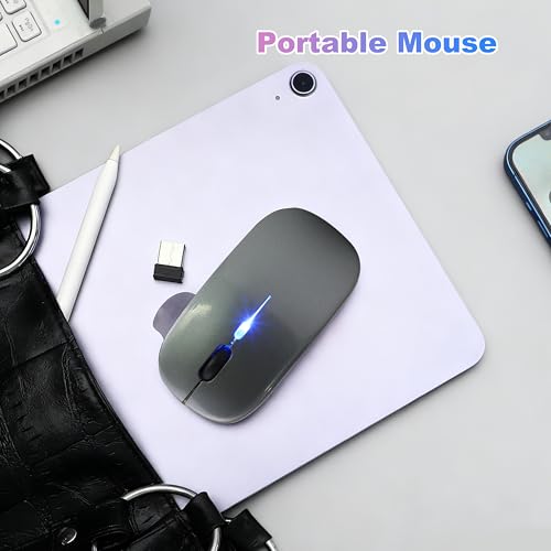 Wireless Bluetooth Mouse Rechargeable Long Lasting Dual Mode - BT 5.2 & 2.4G Silent RGB LED Mice, Slim Portable Ergonomic Mouse for Laptop/PC/Tablet/MacBook/iPad/Apple Devices(Grey) - color: Grey