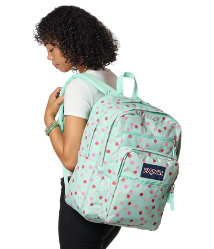 JanSport Laptop Backpack - Computer Bag with 2 Compartments, Ergonomic Shoulder Straps, 15” Laptop Sleeve, Haul Handle - Apple Orchard - color: Apple Orchard Magic