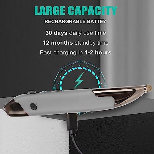 Wireless Pen Mouse, Rechargeable 2.4G Dual Mode Handwriting Stylus with Touch Head for PC Laptop iOS (Silver Gray) - color: Silver Gray