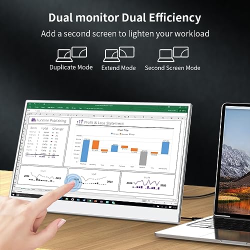 14 Inch Touchscreen Portable Monitor,FHD 1080p,100% sRGB Display,Built USB-C,HDMI,Mini DP,Folding Kickstand Extend Second Screen for Laptop/PC/Phone/Game Console - size: 14 Inch