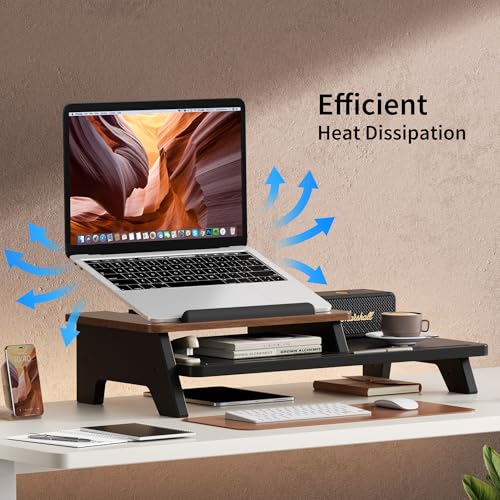 AFOOYO Adjustable Laptop Stand 2-Tier Riser Holder,Ventilated Cooling Ergonomic Computer Desk Organizer Accessories for 10-15.6" Notebook,Desktop Storage Compatible with MacBook,Dell,HP,Lenovo - size: Long