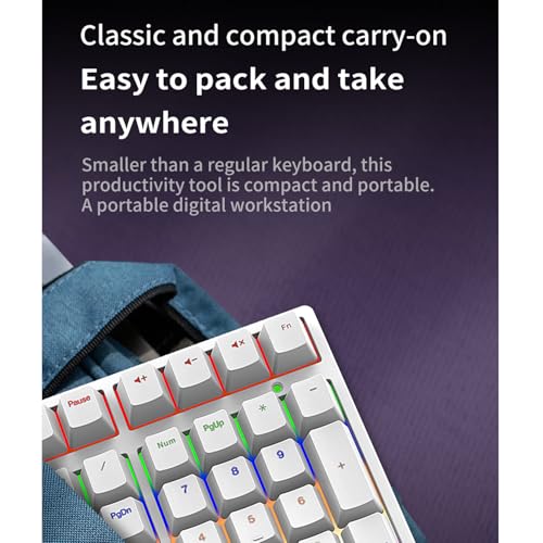 XUMIUZIY Number Pad, Mechanical Numeric Keypad with RGB Backlit, Hotswap Blue Switches, PBT Keycaps, 34 Keys USB Wired Numpad for Laptop, Computer, PC (White) - color: White