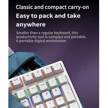XUMIUZIY Number Pad, Mechanical Numeric Keypad with RGB Backlit, Hotswap Blue Switches, PBT Keycaps, 34 Keys USB Wired Numpad for Laptop, Computer, PC (White) - color: White