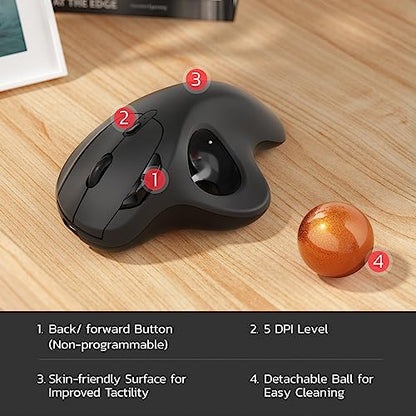 Nulea M501 Wireless Trackball Mouse Ergonomic Thumb Control, 4 DPI Levels | Rechargeable rollerball mouse with Bluetooth USB receiver,3 device use,smooth tracking,compatible with PC Mac Windows-Orange - color: H-DOrange