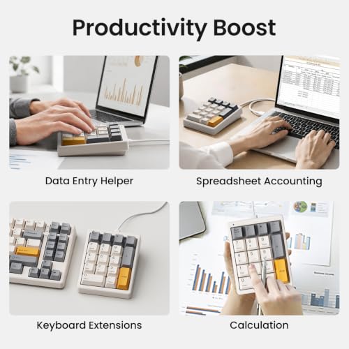 Kisnt MF17 Wired QMK/VIA Mechanical Numpad for Excel Financial Data Entry | QMK/VIA Programmable, Wired 17 Keys Hot Swappable, Custom RGB with PBT Keycaps for Laptops PC Compact Keyboards (Retro Beige) - color: Retro Beige