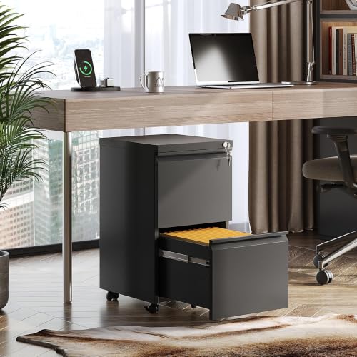 DEVAISE 2 Drawer Mobile File Cabinet, Fully Assembled | Under Desk Metal Filing Cabinet with Lock for Home Office, Fits Letter/Legal/A4 Size, Black - color: Black, size: 17"D x 15"W x 27"H