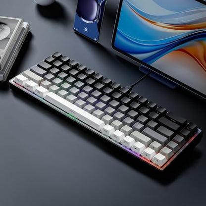 65% Gaming Keyboard, LED Backlit Mini Wired Keyboard, Ultra-Compact Anti-Ghosting No-Conflict 68 Keys Membrane Gaming Wired Keyboard for PC Laptop Windows Gamer(Gray-White) - color: Gray