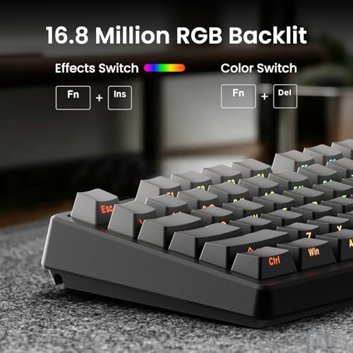 Kisnt KN85 Wireless Mechanical Keyboard, 75% Layout with Side Printed PBT Keycaps, Bluetooth/2.4GHz/USB-C, Custom RGB Backlit, Hot-Swappable Linear Switch,Creamy Sound for Gaming/Typing(Gradient Gray) - color: Gradient Gray
