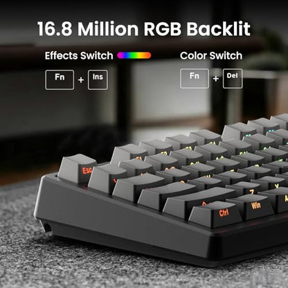 Kisnt KN85 Wireless Mechanical Keyboard, 75% Layout with Side Printed PBT Keycaps, Bluetooth/2.4GHz/USB-C, Custom RGB Backlit, Hot-Swappable Linear Switch,Creamy Sound for Gaming/Typing(Gradient Gray) - color: Gradient Gray