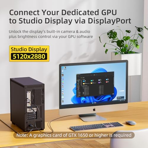 DisplayPort to USB C Cable with Power Delivery, Dual USB Adapter for Host Connection to Portable Monitor, AR Glasses (Xreal, Rokid, RayNeo) One-Way Signal, 6.6FT/9.8FT (118, Inches)