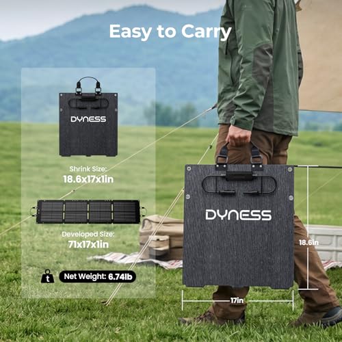 DYNESS Portable Power Station 300W with 100W Foldable Solar Panel, 256Wh Solar Generator with 110V Pure Sine Wave AC Outlet, LiFePO4 Battery for Camping, Home Backup, RV, Outdoor - size: 256Wh 300W + 100W Solar Panel