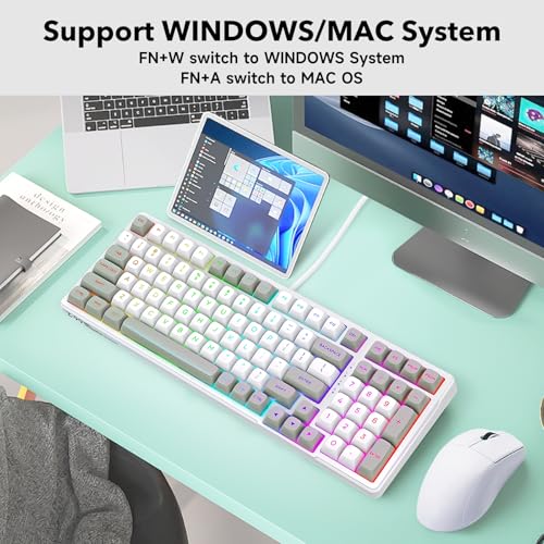 HUO JI Z-99 Wired Mechanical Keyboard, Creamy Sound, Hot Swappable Pre-lubed Linear Switches, Gasket Structure with Sound Dampening Foam, RGB Backlit, 99 Keys Custom Gaming Keyboard for PC/Mac,Gray - color: White Gray