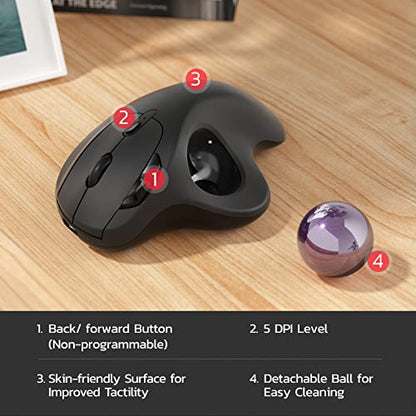 Nulea M501 Wireless Trackball Mouse, Rechargeable Ergonomic, Easy Thumb Control, Precise & Smooth Tracking, 3 Device Connection (Bluetooth or USB Receiver), Compatible for PC, Laptop, Mac, Windows. - color: C-Purple