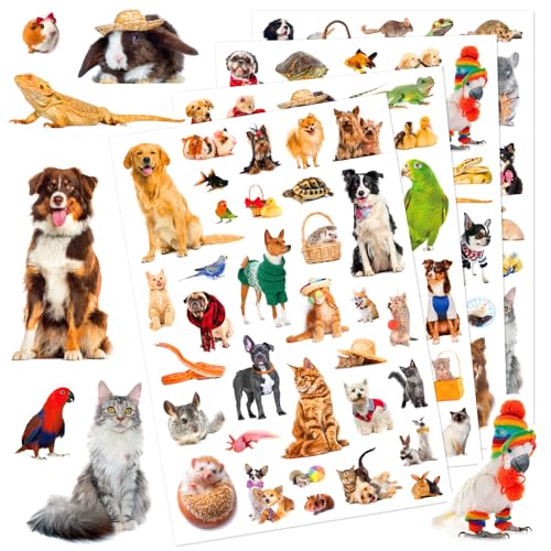 Pet Animals Stickers 660 Count Dog Cat Animal Pet Rabbit Parrot Fish Bird Reptiles Stickers Party Favors Gifts Sticky Decor for Scrapbook Calendar Planner Gift Wrap Decor - color: Pet