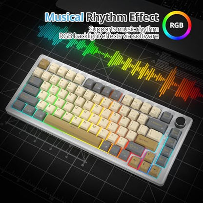 75% Retro Mechanical Keyboard Gasket with Knob, Custom Wired Creamy Gaming Keyboard TKL 75 Percent Hot Swappable RGB Backlit, Pre-lubed Switch for Win/MAC PC Laptop（Shimmer/White Switch） - color: Shimmer/White Switch