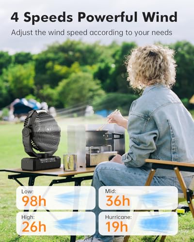 36000mAh Camping Fan, Detachable Rechargeable Portable Battery Fan | 98Hours, 4 Speeds, Timer Function, Light & Hook, Battery Operated Fan for Outdoor, Tent, Fishing, Travel, Hurricane, Jobsite - color: Black