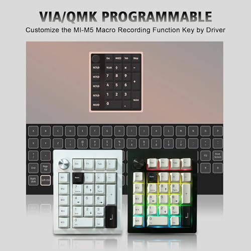 FKZ GMK26 Mechanical Numpad,Gasket VIA Macro Numeric Keypad Hot Swap Wireless 2.4G/BT5.0/Wired USB-C RGB Backlit 26 Keys Mini Protable Number Keyboard Programmable for Win/Mac/Gaming (White) - color: White