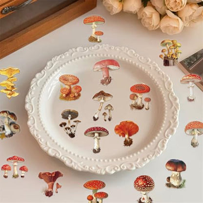 Clear Mushroom Stickers,50PCS Cute Mushroom Scrapbook Stickers for Journaling, Junk Journal, Water Bottles, Phone Cases, Laptops, Waterproof Transparent Scrapbook Supplies(colourful-B10) - color: Colourful-b10