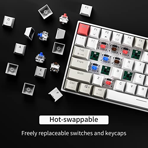 Newmen GM840 Mechanical Keyboard,Wireless/Wired/Bluetooth Gaming Keyboard | Mechanical Keyboard,Wireless/Wired/Bluetooth Gaming Keyboard,75%,RGB Backlit,Hot Swappable,Compact,Computer,PC,Blue Switch - color: Grey/White/Red, size: Blue Switch