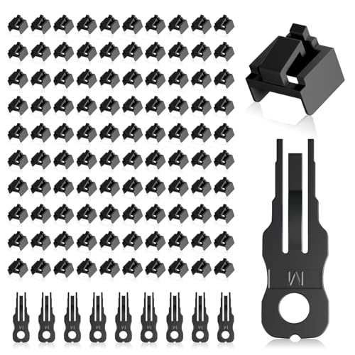 100 Pcs RJ45 Port Lock with 10 Key, Locking RJ45 Port/Dust Blocker, RJ45 Dust Cover Cap Female Port Plugs Protector, Compatible RJ45 Port Devices, Black - color: Black, size: 100-Pack