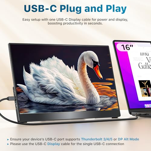 kksmart Portable Monitor for Laptop MacBook Surface PC Xbox PS5, Travel Monitor Second Screen for Laptop, HDMI USB-C VESA Compatible Built-in Speaker, 15.6inch - size: 15.6inch