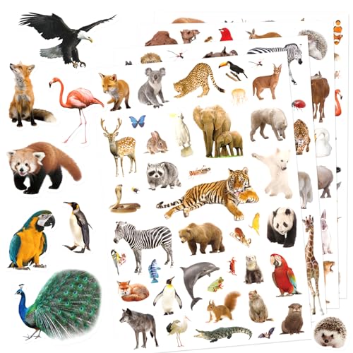 Wild Animals Stickers 750 Count Safari Jungle Animal Woodland Wildlife Zoo Creatures Stickers Party Favors Gifts Sticky Decor for Scrapbook Calendar Planner Gift Wrap Decor - color: Wild