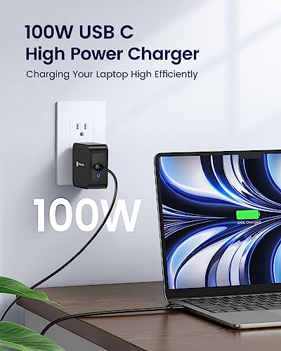 13-in-2 USB C Docking Station Dual Monitor with 100W Laptop Charger