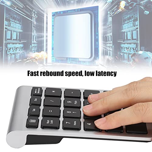 ASHATA Numeric Keypad,22 Keys Numeric Keypad USB Ergonomic Keyboard with Receiver,Support for Android, for for OS Systems.(Silver Black)