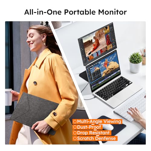 15.6" Portable Monitor, FHD 1080P IPS Travel Monitor for Laptop, Magnetic Foldable Stand & Protective Case Included, USB-C & Mini HDMI Screen Extender for Laptop Mac PC Phone Xbox PS4/5 Switch - style: 15.6 STAND BAG