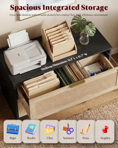 HOPUBUY 2 Drawer File Cabinet with Lock, Printer Stand Lateral | Home Office and School, Wood Rattan Filing Cabinet for Hanging Files/Letter/Legal/A4/F4 Size, Black, 2Drawer, Set1 - color: Black, size: Set1