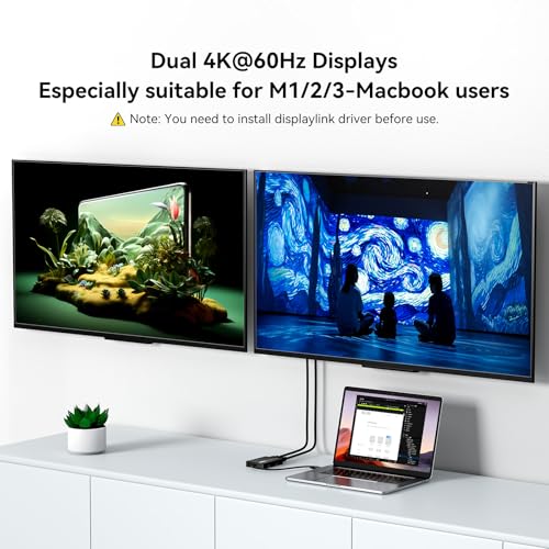 ACASIS USB C to Dual HDMI DisplayLink Adapter for Mac M1/M2/M3/M4/Windows | USB C DisplayLink Docking Station with 2HDMI 4K@60Hz, 3USB-A Ports, 100W PD Charging ,USB A/C to Dual Monitor Adapter(Black) - color: Black