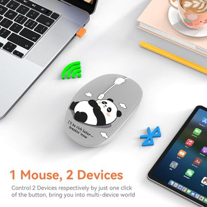 FMOUSE Cute Wireless Mouse, Bluetooth 2.4GHz Dual Mode with USB Receiver, Silent Click, AA Battery Powered, for Work Office Students, Compatible with Laptop Mac iPad PC (Slack Off Panda) - color: Slack Off Panda