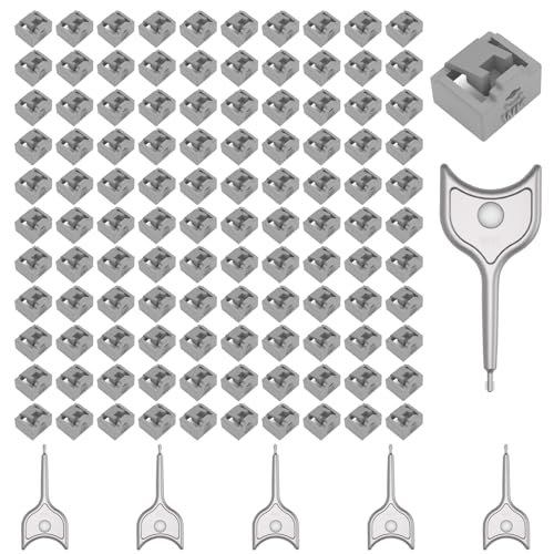 100-Pack RJ45 Port Lock with 5 Keys,Security Network Port Lock & Dust Cover,Female RJ45 Connector Blocker Cap Protector for Computers,Servers,Routers & More (Grey) - color: Grey, size: 100+5