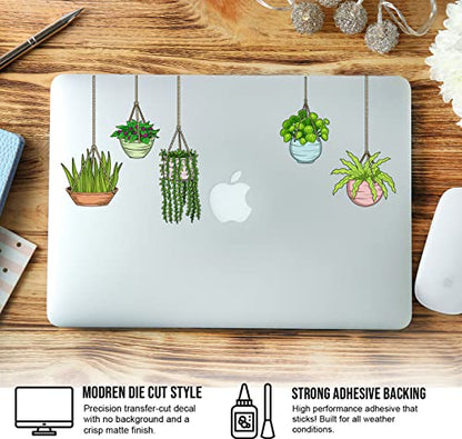 Plant Stickers (5pcs) - Strong Adhesive Waterproof Succulent Stickers - Do not Fade, Used for Notebook, Laptop, MacBook, Scrapbook, Ipad, Water Bottle