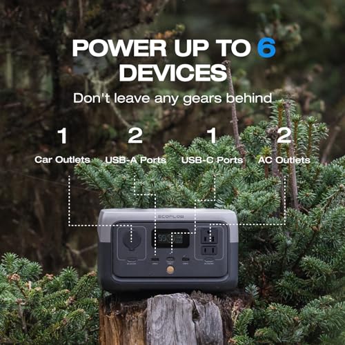 EF ECOFLOW Portable Power Station RIVER 2, 256Wh LiFePO4 Battery/ 1 Hour Fast Charging, 2 Up to 600W AC Outlets, Solar Generator (Solar Panel Optional) for Outdoor Camping/RVs/Home Use | 1 Hr Fast Charging, LiFePO4 Battery,Up to 600W Solar Generator for O