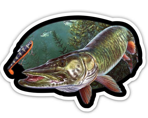 Muskie Fishing - 3" Vinyl Sticker - for Car Laptop I-Pad Phone Helmet Hard Hat - Waterproof Decal - size: 3"