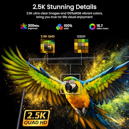 VILVA 17.3" QHD 165Hz USB-C HDMI Gaming Monitor | 17.3" QHD 165Hz IPS, slim metal+stand, USB-C/HDMI, for PC/PS5/Xbox/Switch, gaming. - size: 17.3