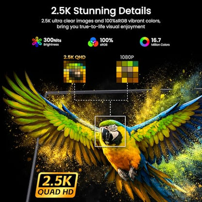 VILVA 17.3" QHD 165Hz USB-C HDMI Gaming Monitor | 17.3" QHD 165Hz IPS, slim metal+stand, USB-C/HDMI, for PC/PS5/Xbox/Switch, gaming. - size: 17.3