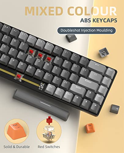 ZIYOU LANG RK68 60% Wireless Mechanical Keyboard, Bluetooth 5.0/2.4Ghz Dual Mode 2-in-1 USB-C Receiver Mini Mechanical Keyboard, Hot Swappable Red Switch Gaming Keyboard for PC/MAC/Laptops - color: Dark gray/Red Switch