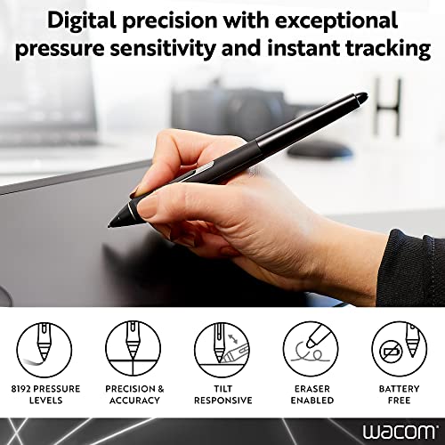 Wacom Pro Pen 2 with Case & 3 Nibs KP504E | Built for Wacom Pro Lines: MobileStudio, Cintiq & Intuos, Features 8192 levels of pressure sensitivity for digital precision